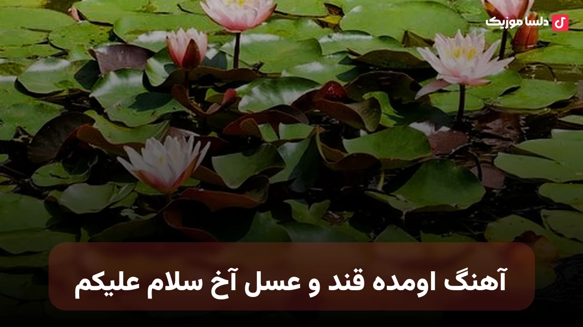  اومده قند و عسل آخ سلام علیکم با صدای زن هوش مصنوعی